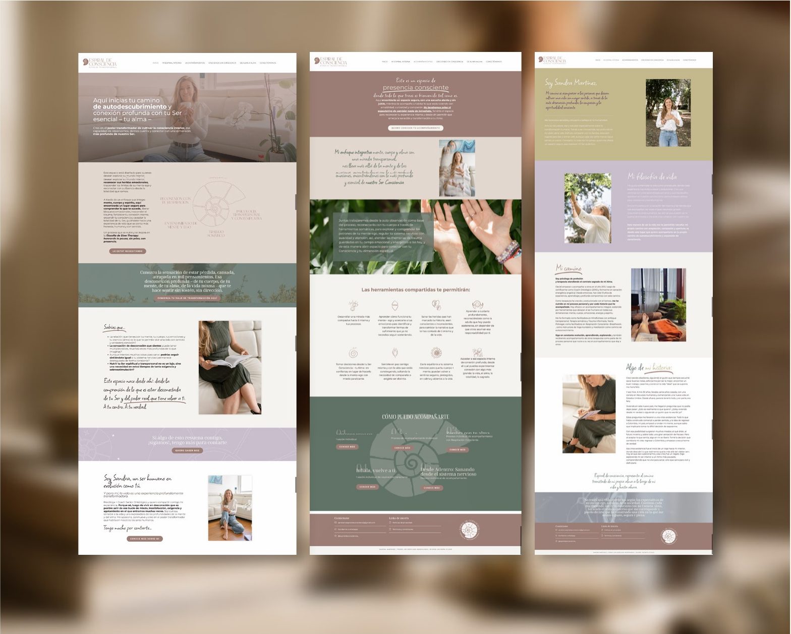 Diseño del sitio web en tres páginas
